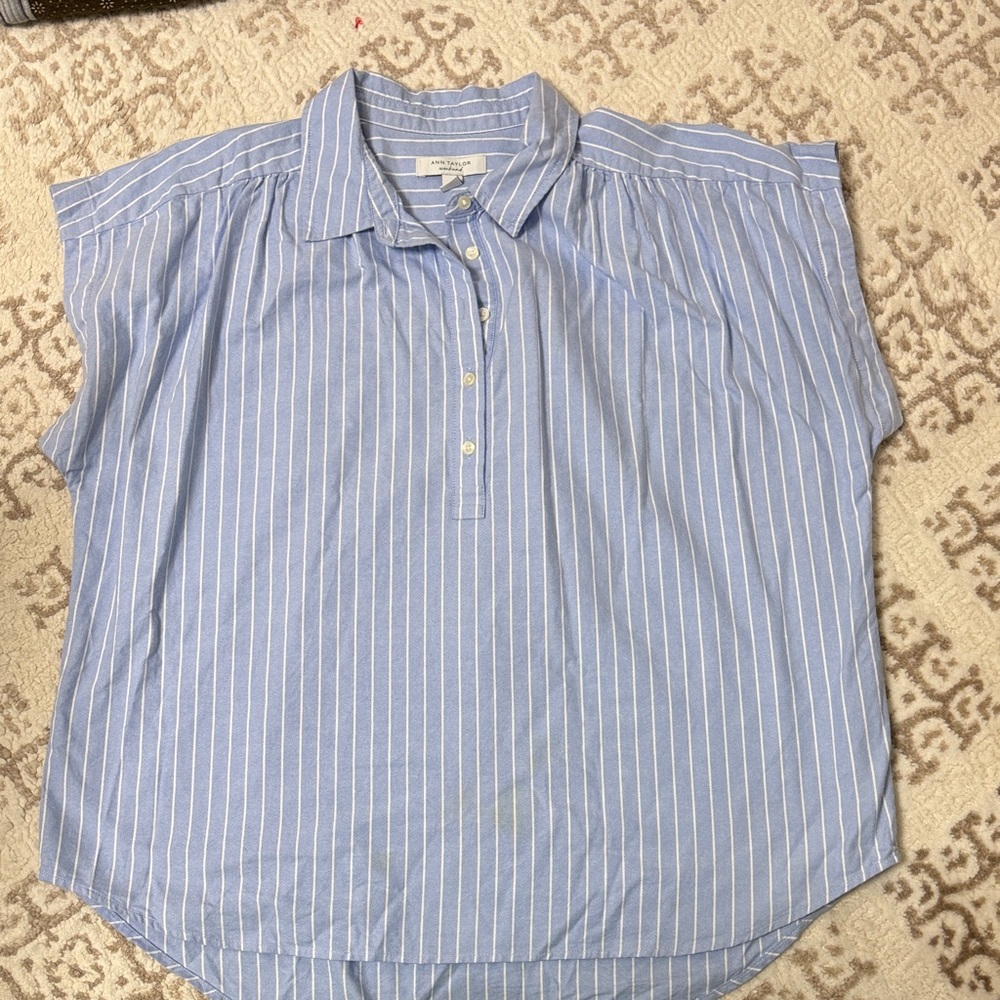 Ann Taylor Blue and White Striped Button Down Shirt